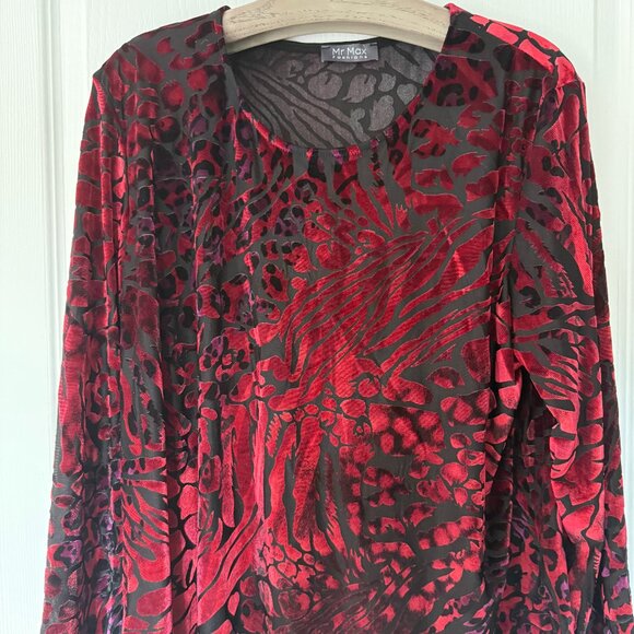 Red Top - Picture 1 of 2